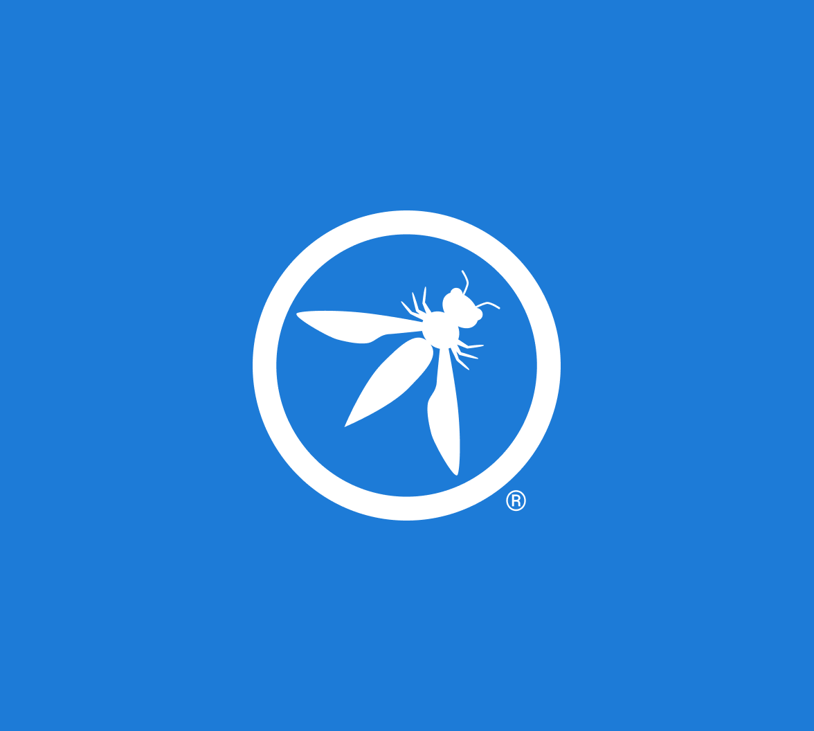 OWASP blog hero